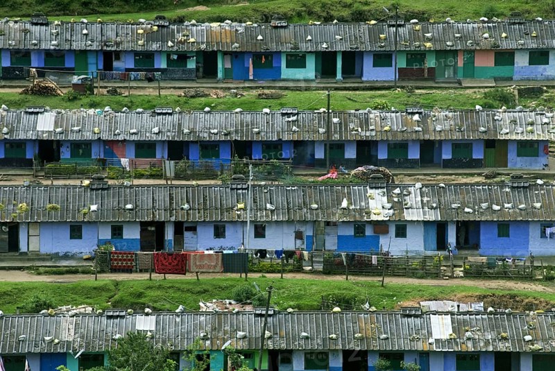 Tea plantation workers on a hillside