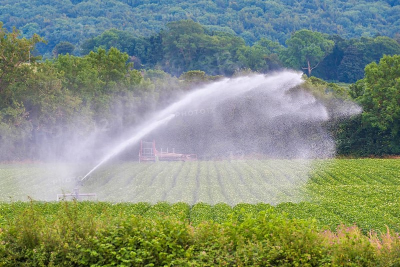 Crop irrigation