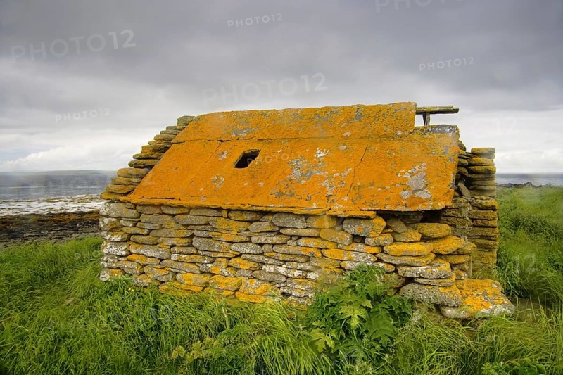 Abandoned farm building overgrown with lichen