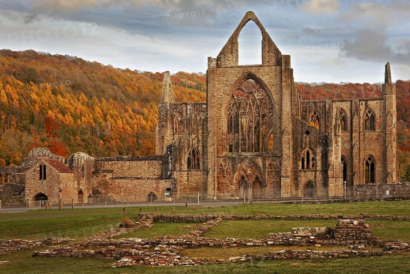Cistercian Monastic Ruins