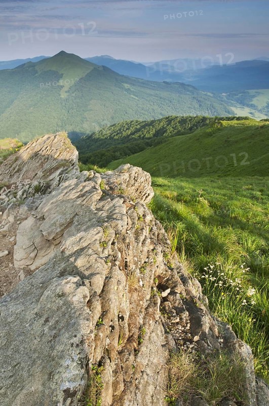 Rock formation and montane meadow habitat in evening sunlight