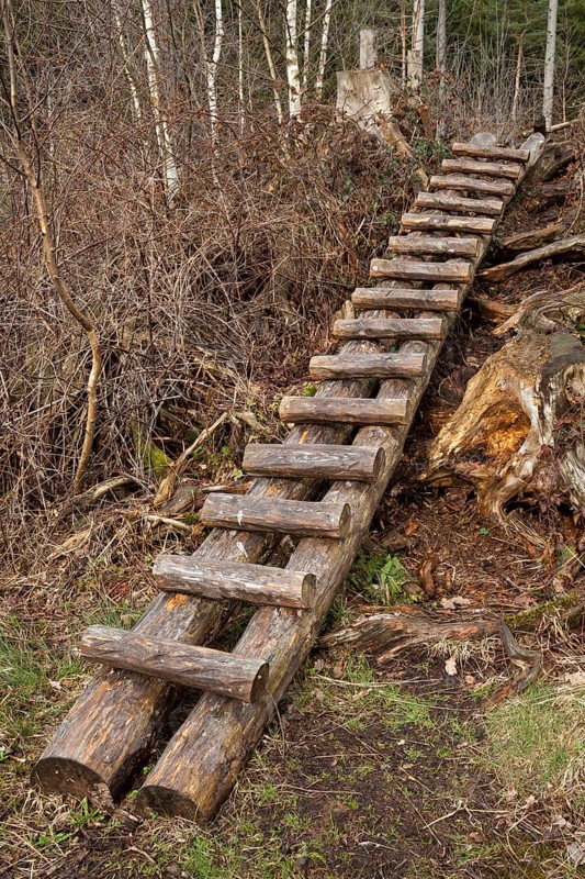 Wooden ladder