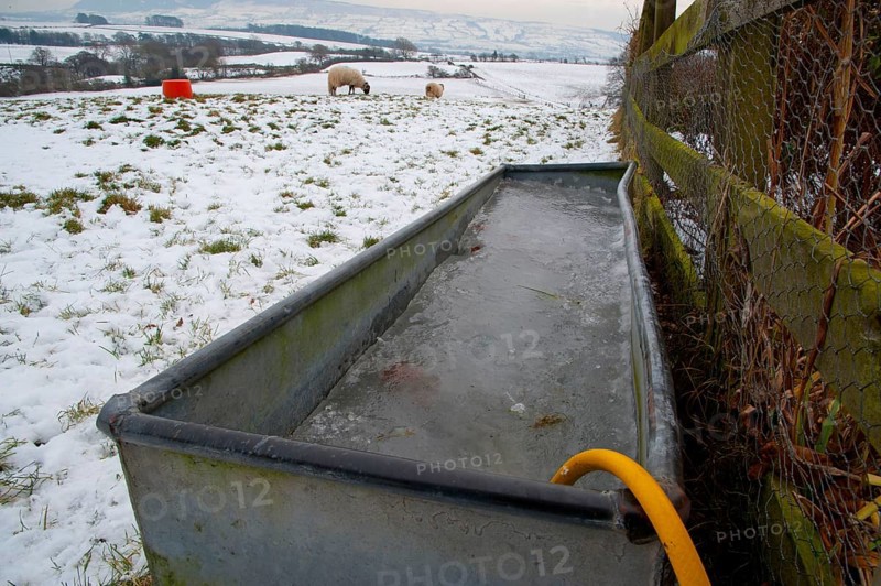 Frozen water trough