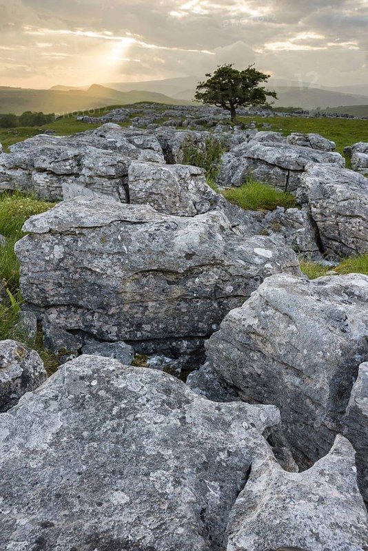 Limestone cliffs and common hawthorn