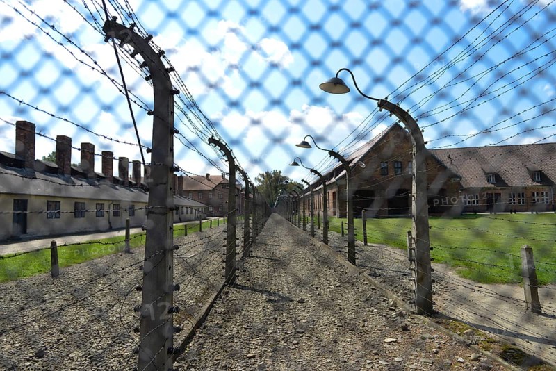 Barbed wire
