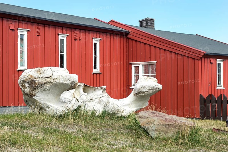Colourfully painted wooden houses with whale bones in the foreground