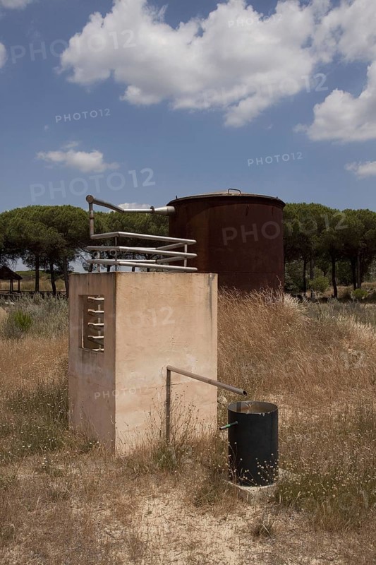 A distillation for the extraction of eucalyptus oil. The leaves were placed in the cauldron