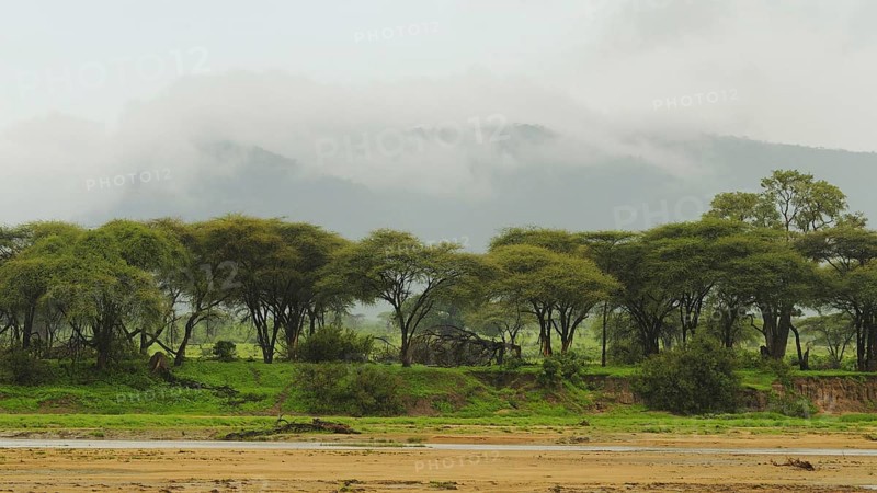 View of dry riverbed