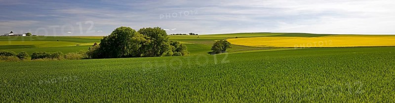 Cultural landscape in the Rhine-Lahn district