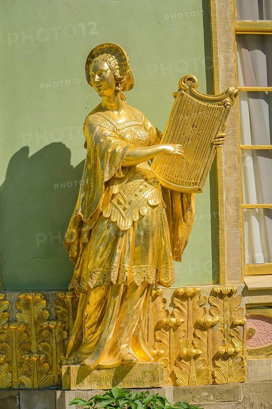 Harpist