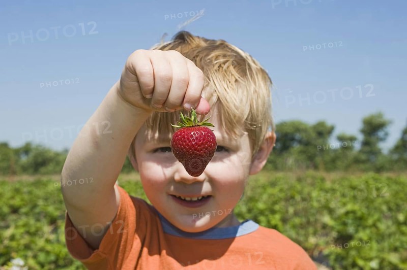 Strawberry