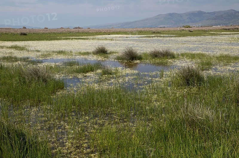 View of saltmarsh