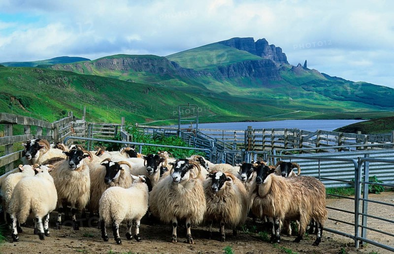 Scotland