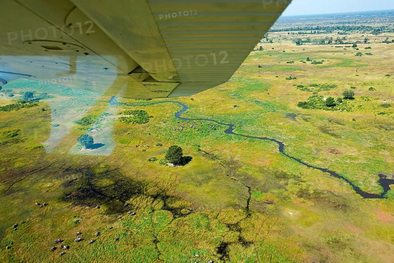 Okavango Delta