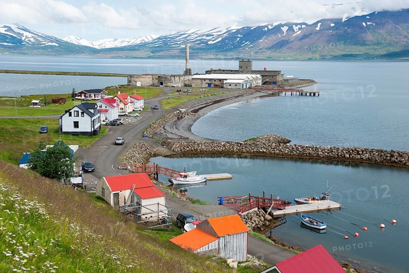 Hjalteyri