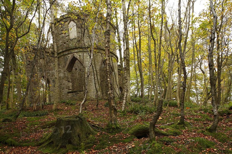 Stone-built folly in woodland habitat
