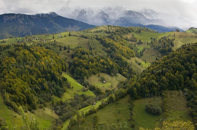 View of mixed forest and pastures on mountain slopes