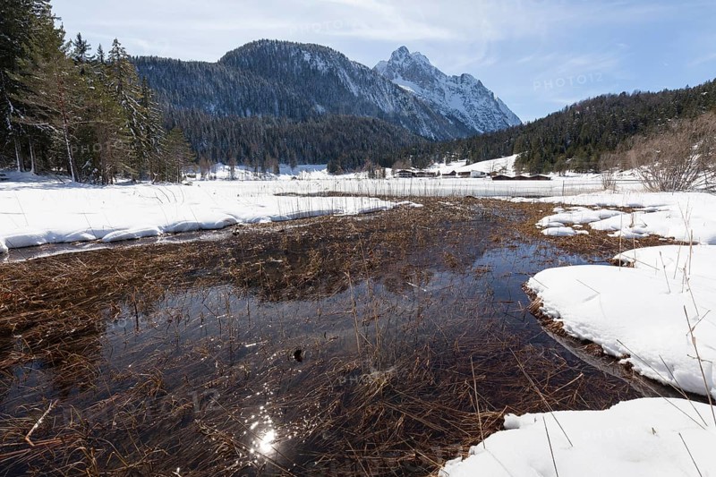 Winter landscape