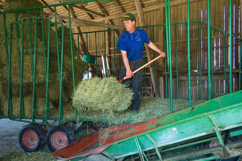 Farmer unloading small bales from wagon onto a lift in the barn