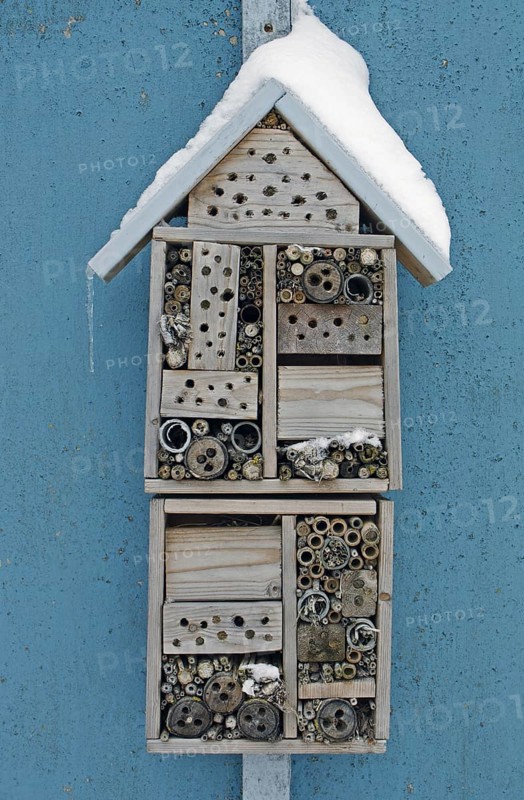 Snow-covered insect hotel built to attract solitary bees