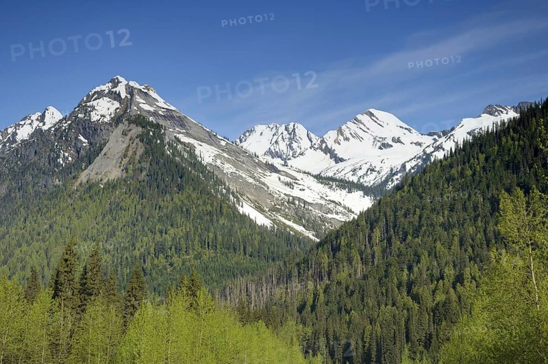 View of forest on slopes of snow-capped mountains