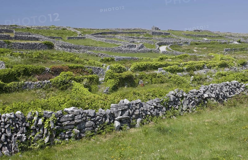 Small fields with limestone dry stone walls
