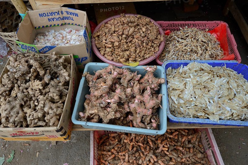 Different kinds of ginger