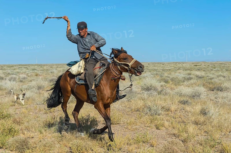 Shepherd with riding whip