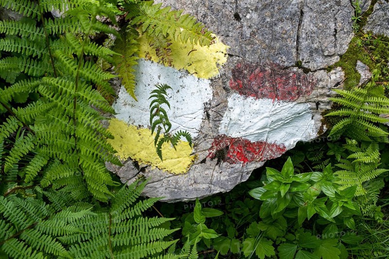 Coloured markings for hiking trails on a stone on the Postalm in the Salzkammergut