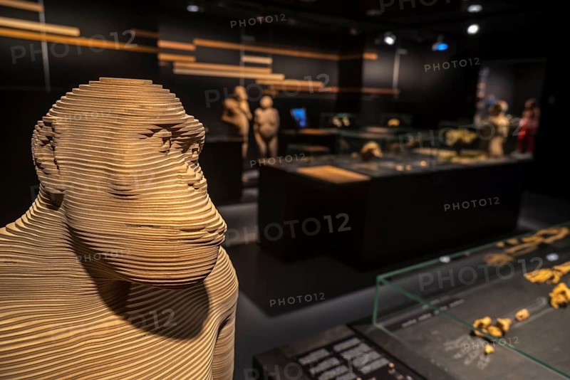 Life-size 3D reconstructions of hominid species depicting human evolution in the Gallery of Humanity at the Royal Belgian Institute of Natural Sciences