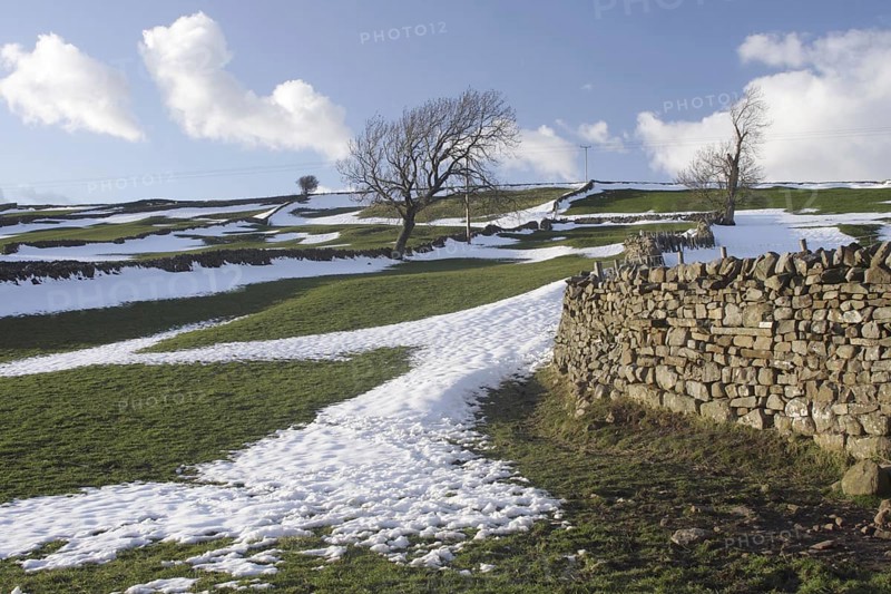 View of dry stone walls and bare trees on hillside with melting snow