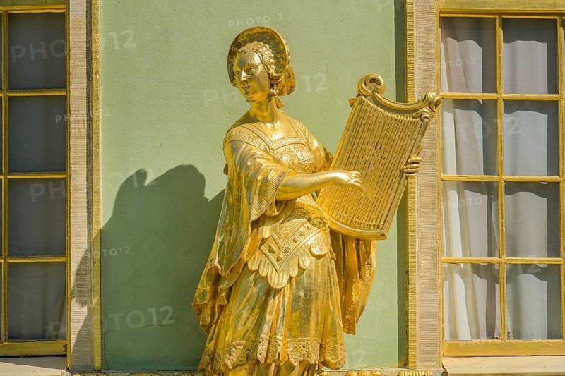 Harpist