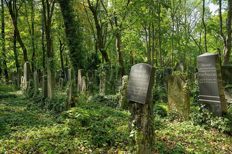 Old graves