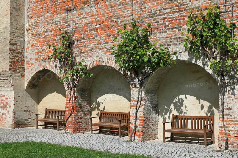 Bench