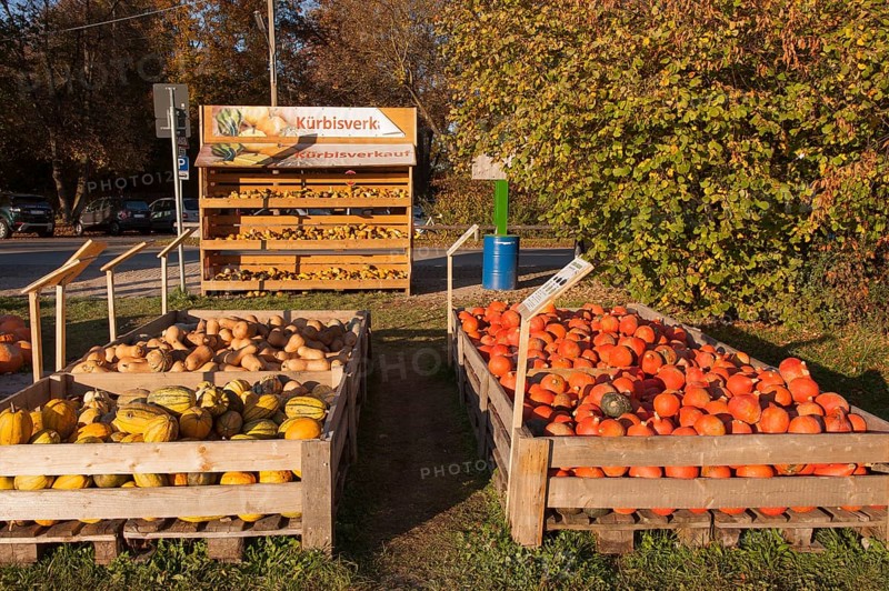 Pumpkins