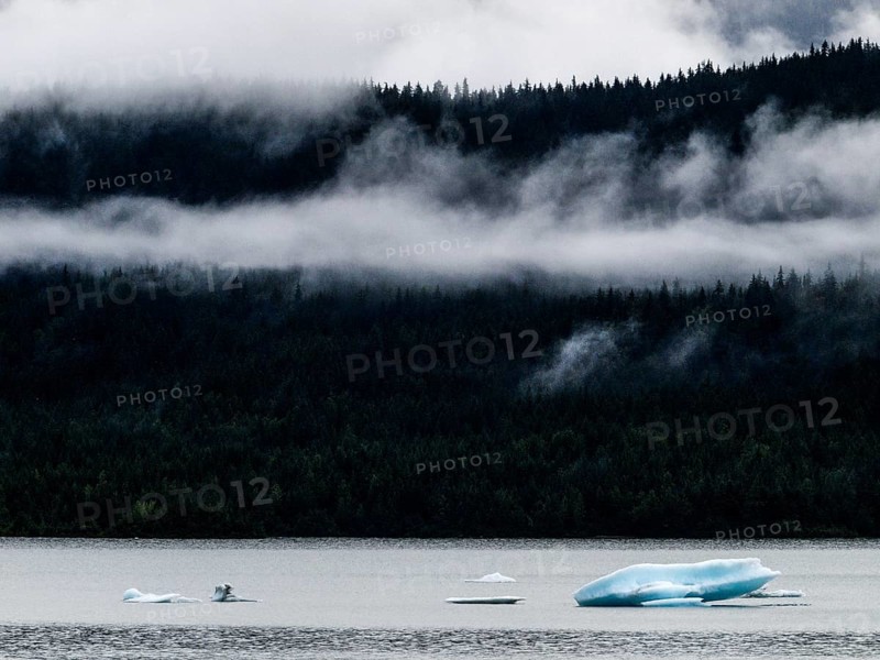 Fog