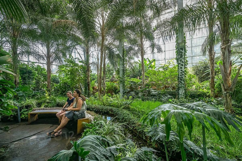 Tropical Hall Balinese Garden