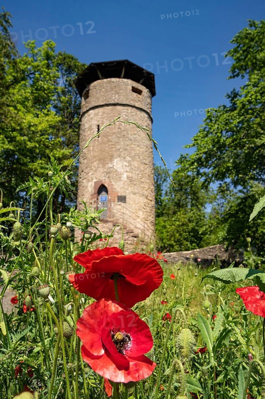 Historic Hachelturm in spring with flowers in the foreground