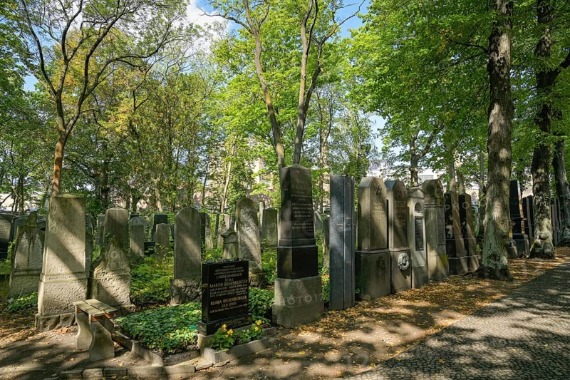 Old graves