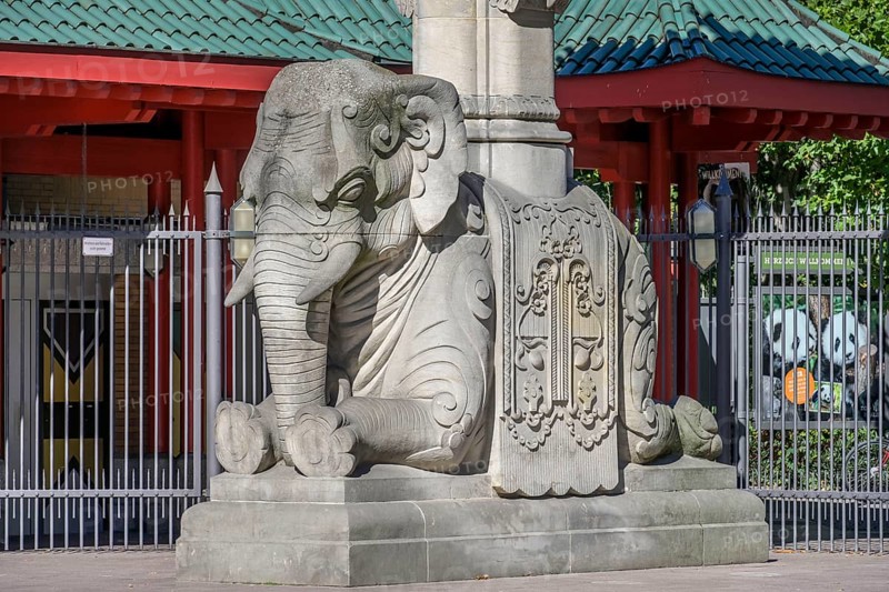 Elephant