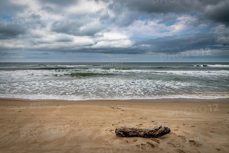 Log on beach in Florianopolis Brazil