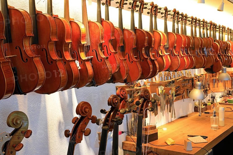 Violins in a row