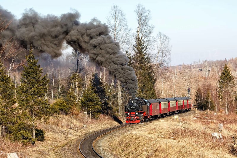 Steam train of the Brockenbahn railway leaving Drei Annen Hohne