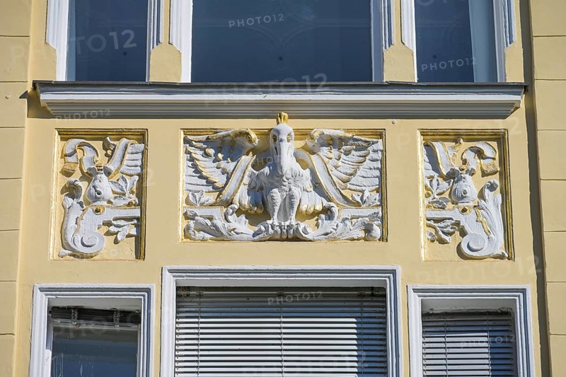 Detail