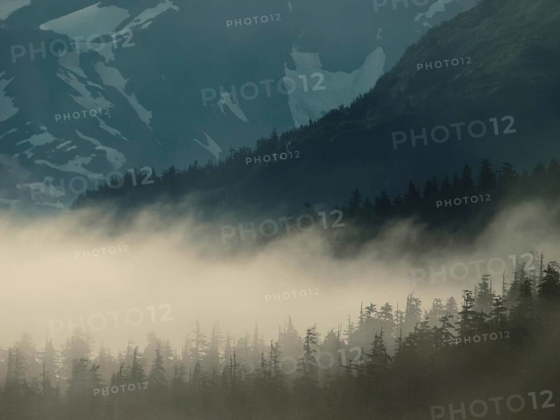 Fog