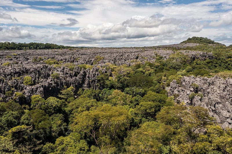 Tsingy de Ankarana National Park