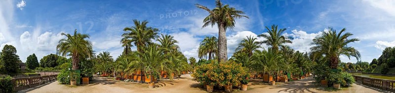 Bad Pyrmont Panorama Palm Garden
