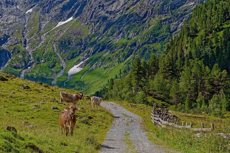 Luesenstal
