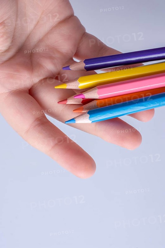 Hand holding color Pencils placed on a white background
