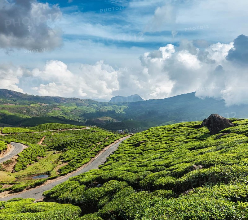 Kerala India travel background
